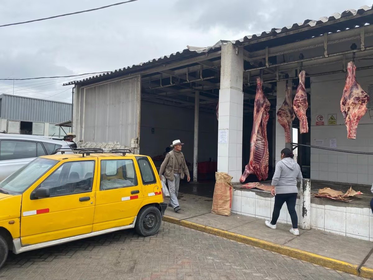 Sancionan a cuatro personas por actos de violencia en el camal municipal de Arequipa