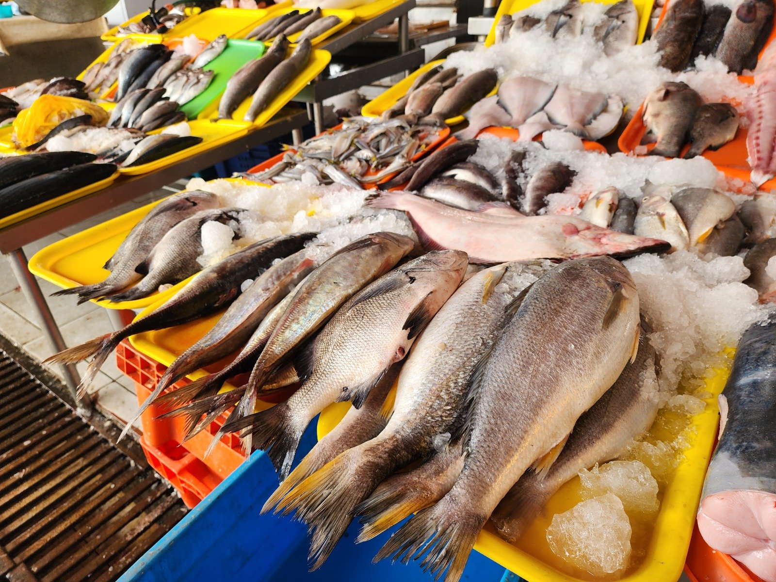 Venezolano habría robado mercadería por casi un año en mercado El Palomar