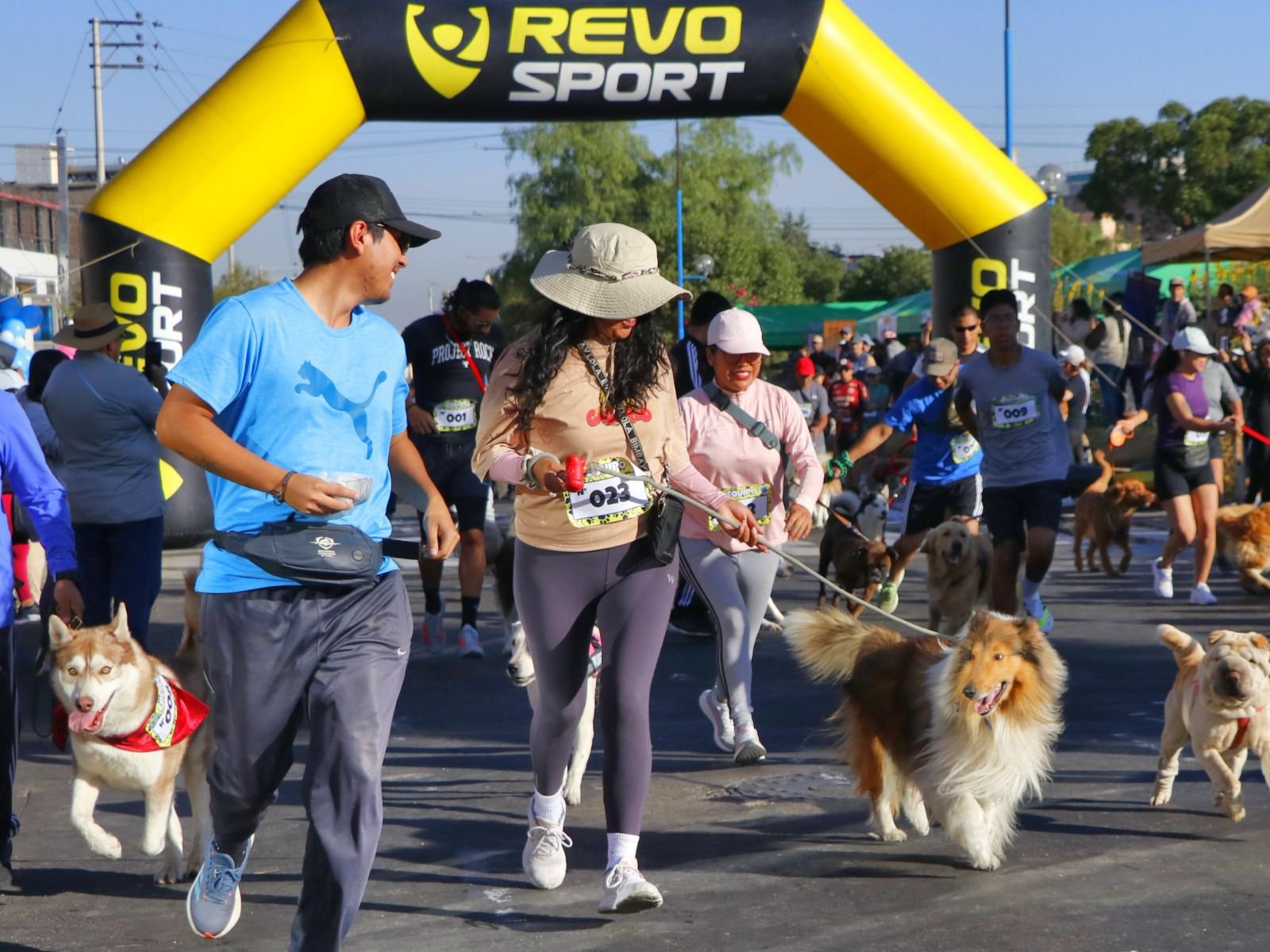 Más de 400 canes participaron de perrotón familiar en Bustamante