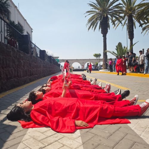 Activistas despliegan “Alfombra Roja” contra intento de derogar la Educación Sexual Integral.