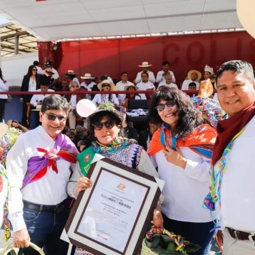 GRA no se responsabiliza por fallas en el Pasacalle Regional.