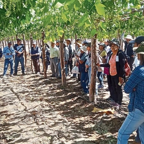 Detectan perjuicio de S/ 760 mil en Autodema por contratación irregular de profesionales