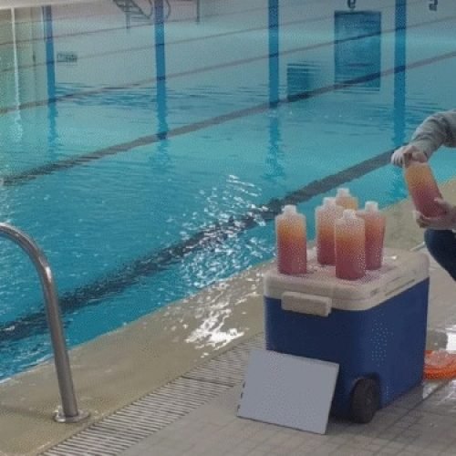 Geresa: Solo el 25% de piscinas en Arequipa cumple con normas sanitarias