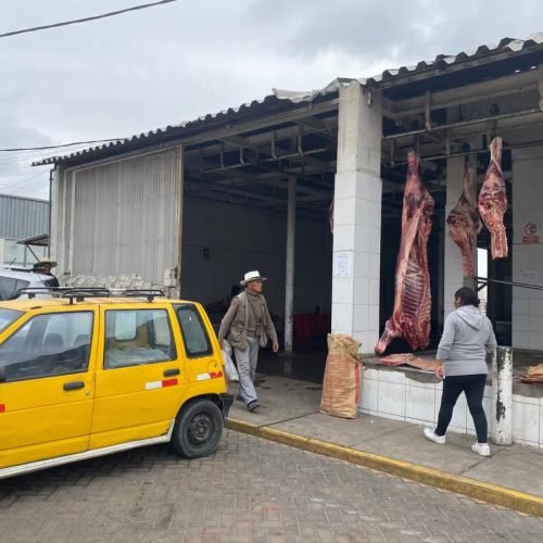 Sancionan a cuatro personas por actos de violencia en el camal municipal de Arequipa