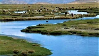 Arequipa proyecta desarrollo turístico con enfoque tecnológico y sostenible al 2030