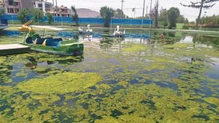 Arequipa: regidores alertan grave abandono del Parque Acuático de Tingo