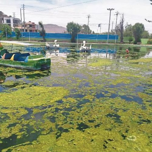 Arequipa: regidores alertan grave abandono del Parque Acuático de Tingo