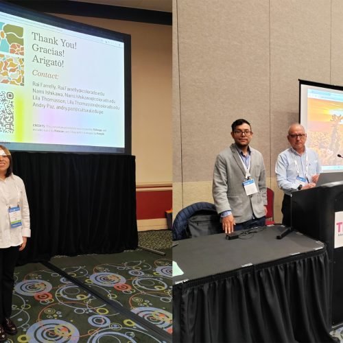 Docentes arequipeños destacan como ponentes en TESOL en EE. UU., evento global de enseñanza del inglés