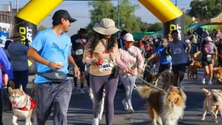Más de 400 canes participaron de perrotón familiar en Bustamante