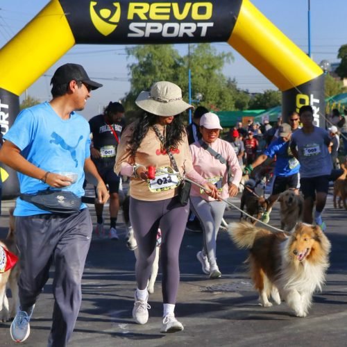 Más de 400 canes participaron de perrotón familiar en Bustamante