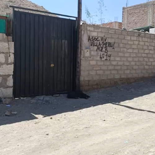 Niño de nueve años termina con el brazo destrozado tras ser atacado por rottweiler.