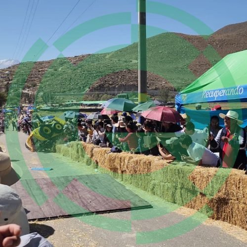 Color y creatividad en la gran carrera de «carros lonccos» en Yarabamba.